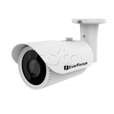 Камера видеонаблюдения в стандартном исполнении EverFocus EZA-2880